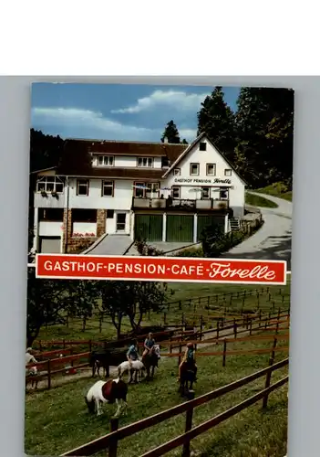 Hundsbach Forbach Gasthof-Pension-Cafe Forelle / Forbach /Rastatt LKR