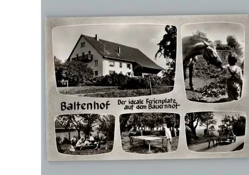 Donaueschingen Baltenhof / Donaueschingen /Schwarzwald-Baar-Kreis LKR