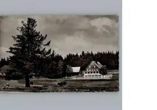 Schoenwald Schwarzwald Gasthaus, Pension Loewen / Schoenwald im Schwarzwald /Schwarzwald-Baar-Kreis LKR