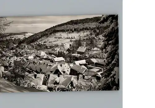 Triberg Schwarzwald  / Triberg im Schwarzwald /Schwarzwald-Baar-Kreis LKR