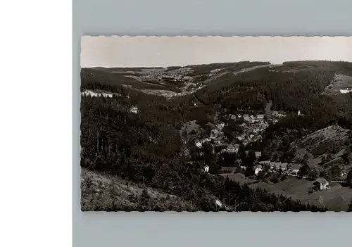 Triberg Schwarzwald  / Triberg im Schwarzwald /Schwarzwald-Baar-Kreis LKR