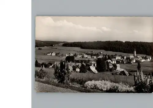 Schoenwald Schwarzwald  / Schoenwald im Schwarzwald /Schwarzwald-Baar-Kreis LKR