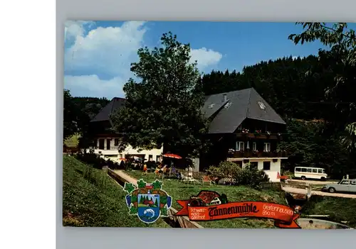 Grafenhausen Schwarzwald Gasthaus-Pension Tannenmuehle / Grafenhausen /Waldshut LKR