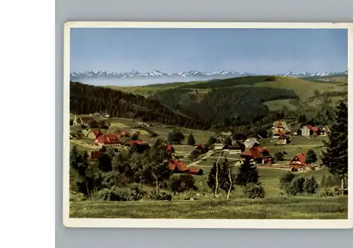 Haeusern Schwarzwald  / Haeusern /Waldshut LKR