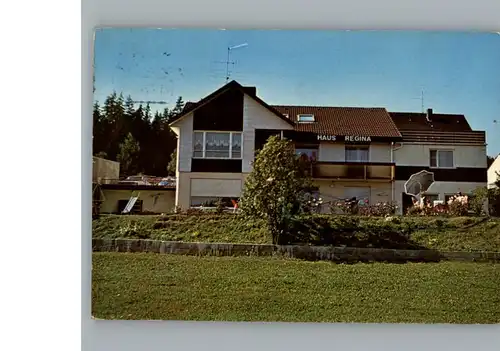 Eisenbach Schwarzwald Pension Haus Regina / Eisenbach (Hochschwarzwald) /Breisgau-Hochschwarzwald LKR