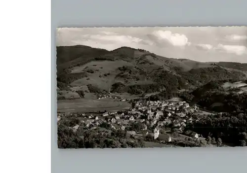 Schoenau Schwarzwald  / Schoenau im Schwarzwald /Loerrach LKR