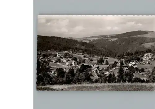 Haeusern Schwarzwald  / Haeusern /Waldshut LKR