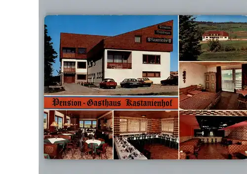 Bruenst Heilig Blut Pension-Gasthaus Kastanienhof / Neukirchen b.Hl.Blut /Cham LKR