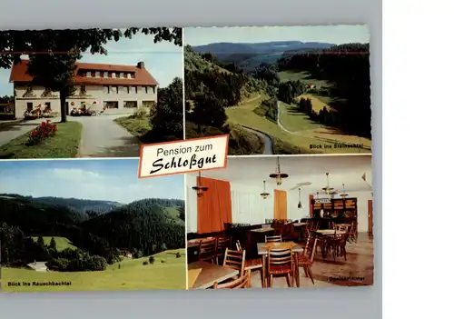 Schlopp Gasthaus Pension zum Schlossgut / Presseck /Kulmbach LKR