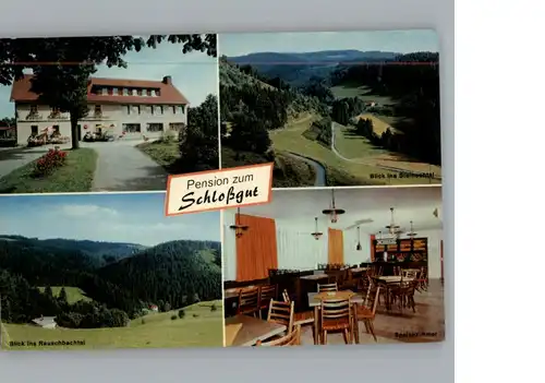 Schlopp Gasthaus Pension zum Schlossgut / Presseck /Kulmbach LKR