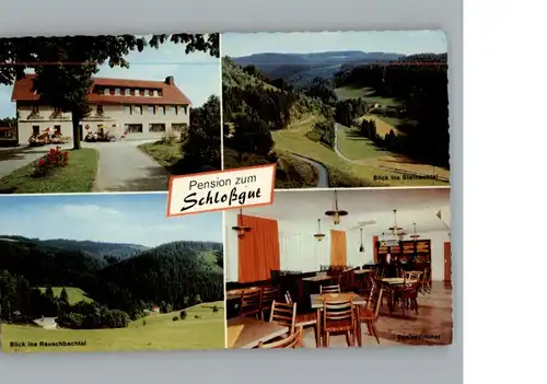 Schlopp Gasthaus Pension zum Schlossgut / Presseck /Kulmbach LKR