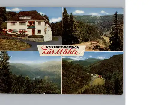 Schuebelhammer Gasthof zum Muehle / Schwarzenbach a.Wald /Hof LKR