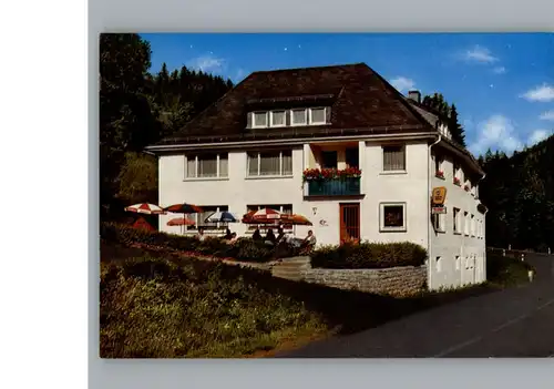 Schuebelhammer Cafe Pension Zur Muehle / Schwarzenbach a.Wald /Hof LKR