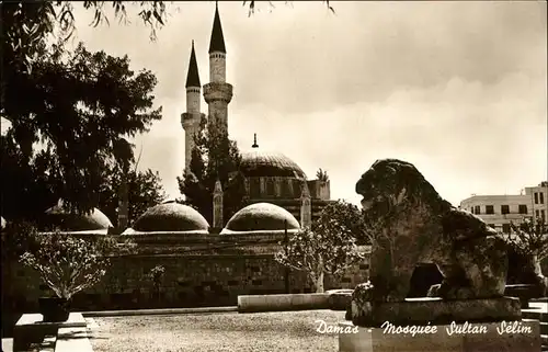 wz02222 Damas Damaskus Syria Mosquee sultan Selim Kategorie.  Alte Ansichtskarten
