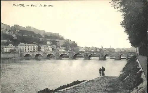 Namur Pont Jambes Pferd Kat. 