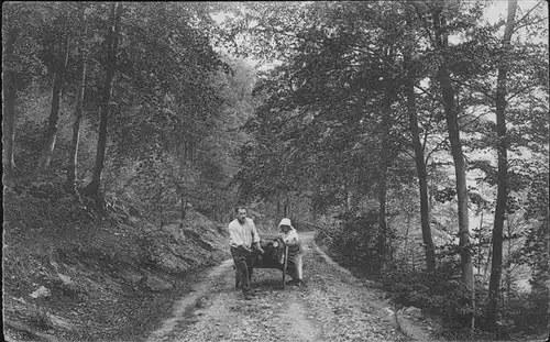 Rochefort Namur Wallonie Paysage au Bois Falizes /  /