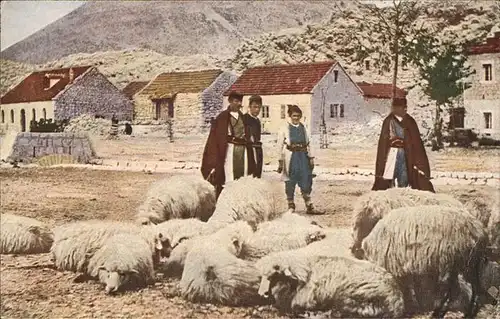 Schaeferei Landwirtschaft Montenegro Balkan Schafe / Landwirtschaft /