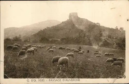 Schaeferei Landwirtschaft Schafe Paysage Auvergne / Landwirtschaft /