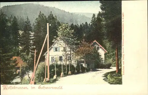 Wolfsbrunnen Seebach Schwarzwald Kat. Ottenhoefen im Schwarzwald