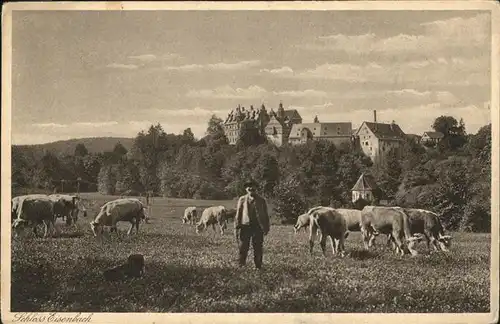 Lauterbach Hessen Schloss Eisenbach Kuehe / Lauterbach (Hessen) /Vogelsbergkreis LKR