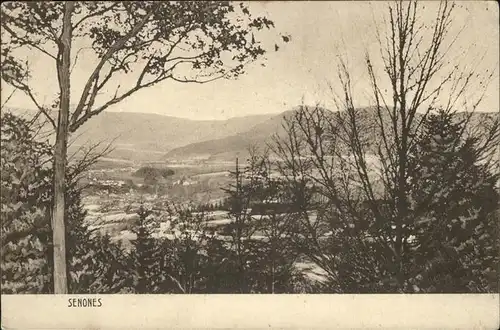 Senones Vosges Panorama / Senones /Arrond. de Saint-Die