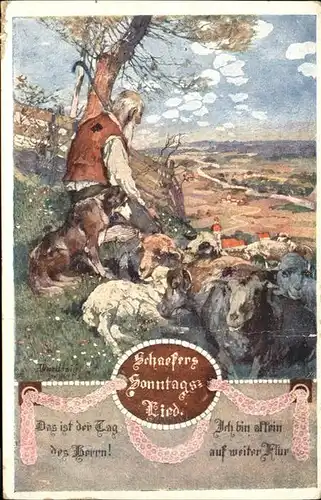 Schaeferei Landwirtschaft Hund Schafe / Landwirtschaft /