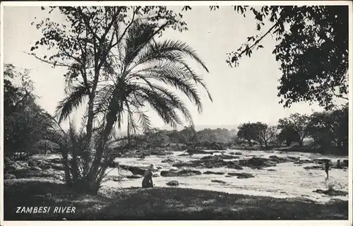 Zambesi River 