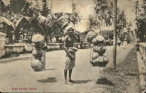 Ceylon = Sri Lanka Pingo Carrier Kat. 