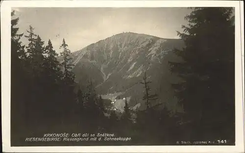 Krkonose Riesengebirge Riesengrund Schneekoppe