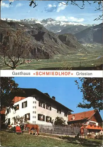 Grissian Gasthaus Schmiedlhof Meran