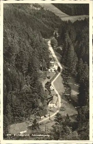 Woelfelsgrund Schneebergweg