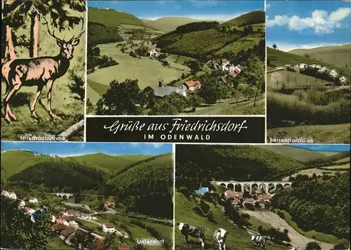 Friedrichsdorf Eberbach Unterdorf Kuehe Bruecke Hirsch Pension Loewen-Post / Eberbach /Heidelberg Stadtkreis