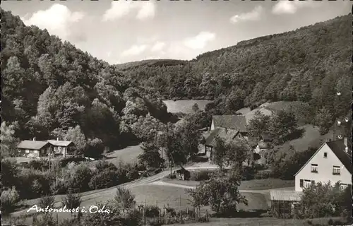 Antonslust Odenwald  / Eberbach /Heidelberg Stadtkreis