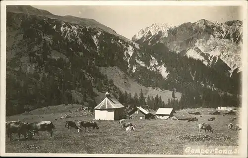 Gampertona Alpe Kuehe
