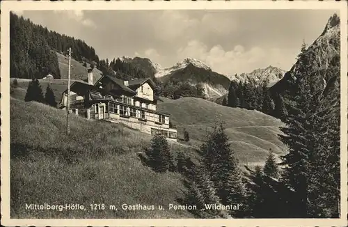 Mittelberg Kleinwalsertal Hoehe Gasthasu Pension Wildental