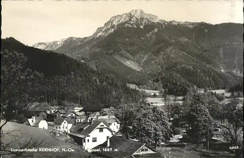 Kernhof Niederoesterreich Sippel Sommerfrische