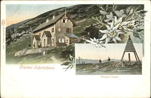 Oetscherschutzhaus oetscher Gipfel Edelweis