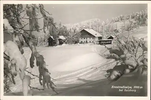 Salzburg Oesterreich Erentrudisalpe Winter Kat. Salzburg