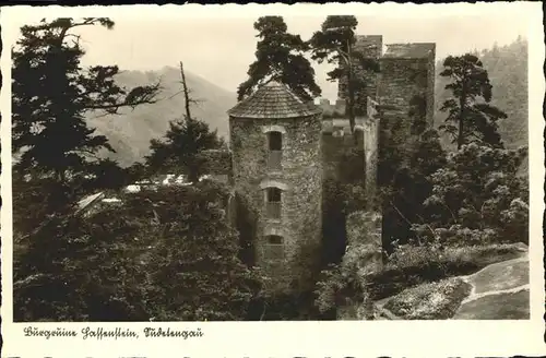 Sudetengau Burgruine Hassenstein