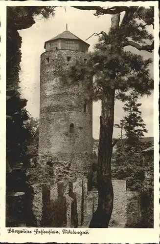 Sudetengau Burgruine Hassenstein