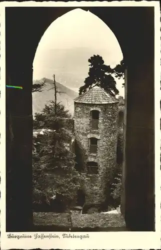 Sudetengau Burgruine Hassenstein