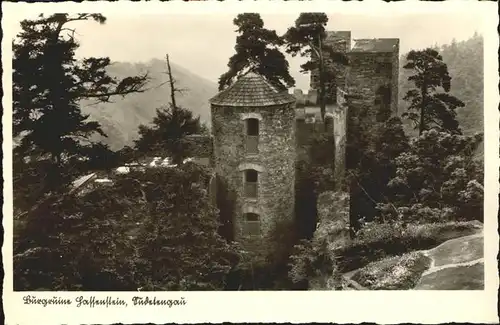 Sudetengau Burgruine Hassenstein