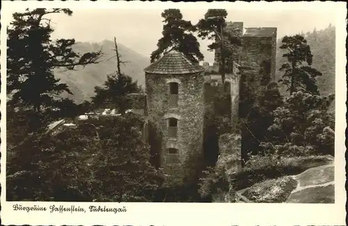 Sudetengau Burgruine Hassenstein