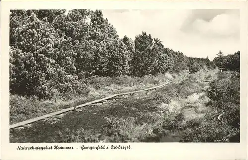 Georgenfeld Naturschutzgebiet Hochmoor /  /