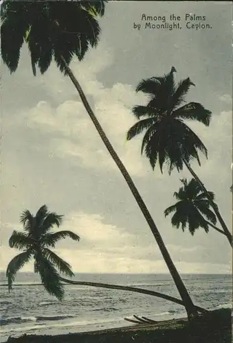 Ceylon = Sri Lanka Among the Palms by Moonlight Kat. 
