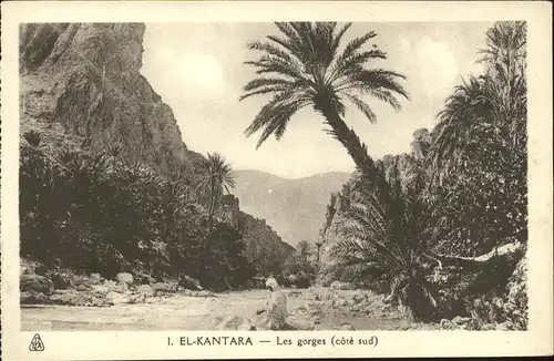 El Kantara Les gorges cote sued palm