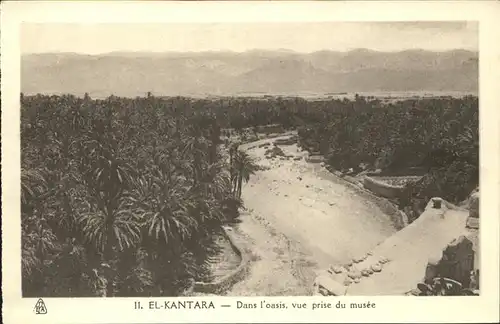 El Kantara Dans l oasis vue prise du musee