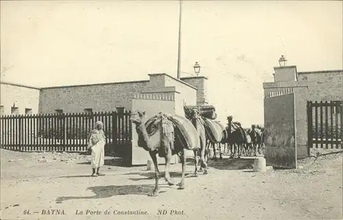 Batna La Porte de Constantine Kamele
