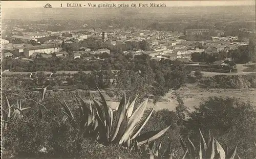 Blida Algerien Vue generale prise du Fort Mimich