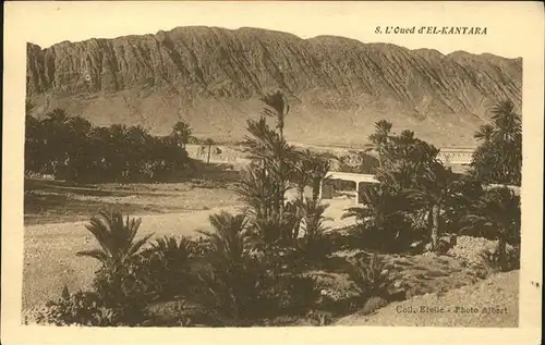 El Kantara L Oued d El Kantara Palmen